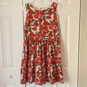 Anthropologie Sunday in Brooklyn dress